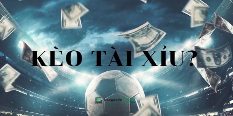Cách đọc cược tài xỉu 1,5 trái chuẩn xác