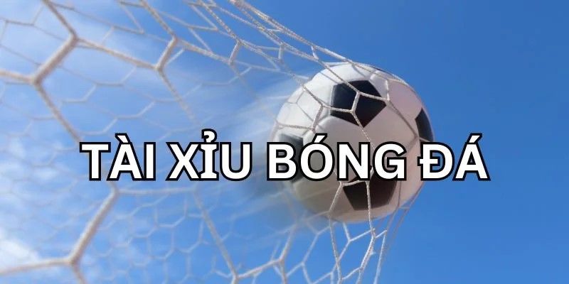 Kinh nghiệm đầu tư vào kèo tài xỉu bất bại